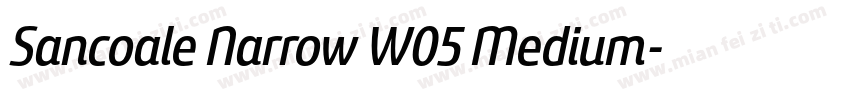 Sancoale Narrow W05 Medium字体转换